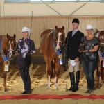 FASHIONABLE IRONS - Out of Quit Staring. EUROPEAN CHAMPION!